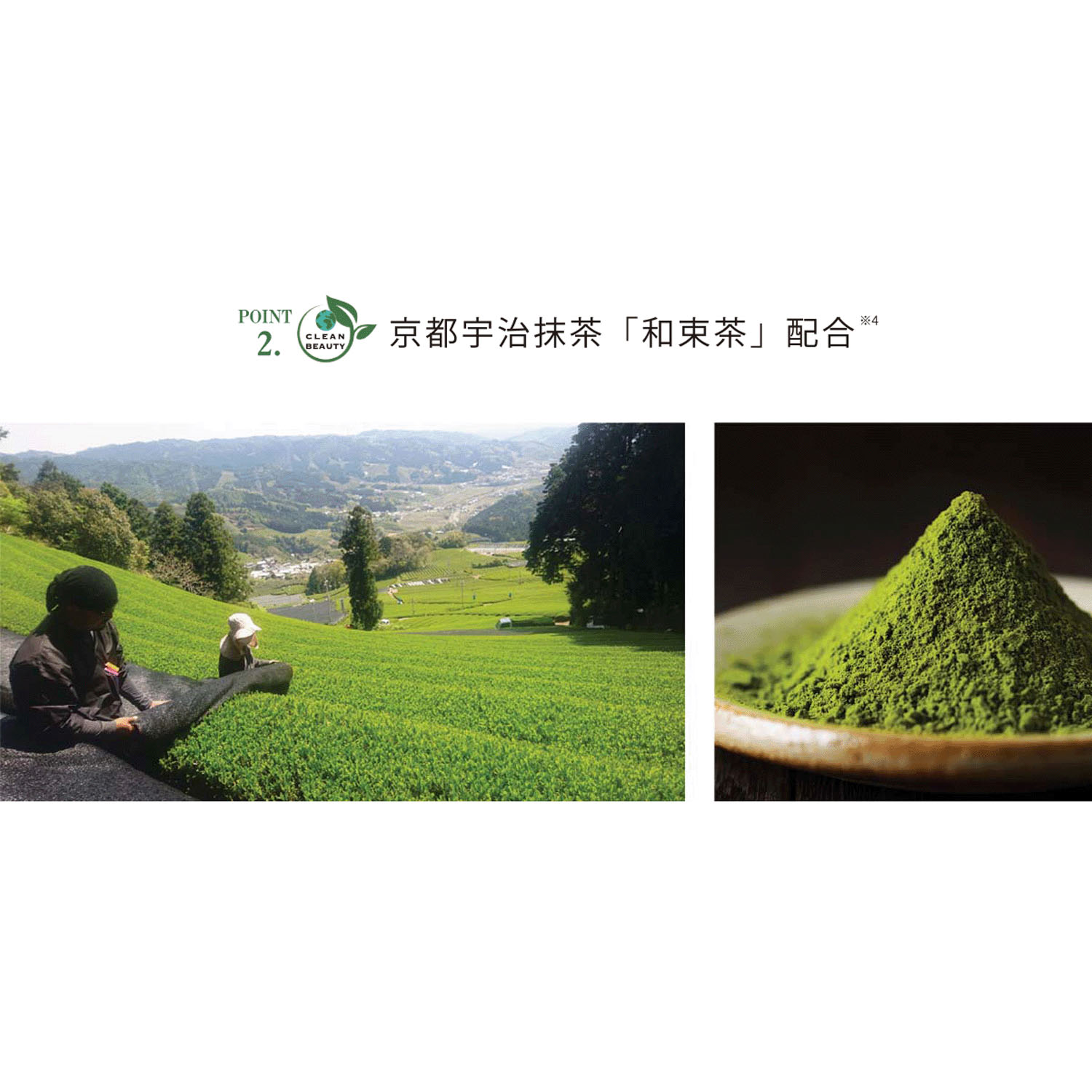 KITAO MATCHAピーリングジェル - 画像8