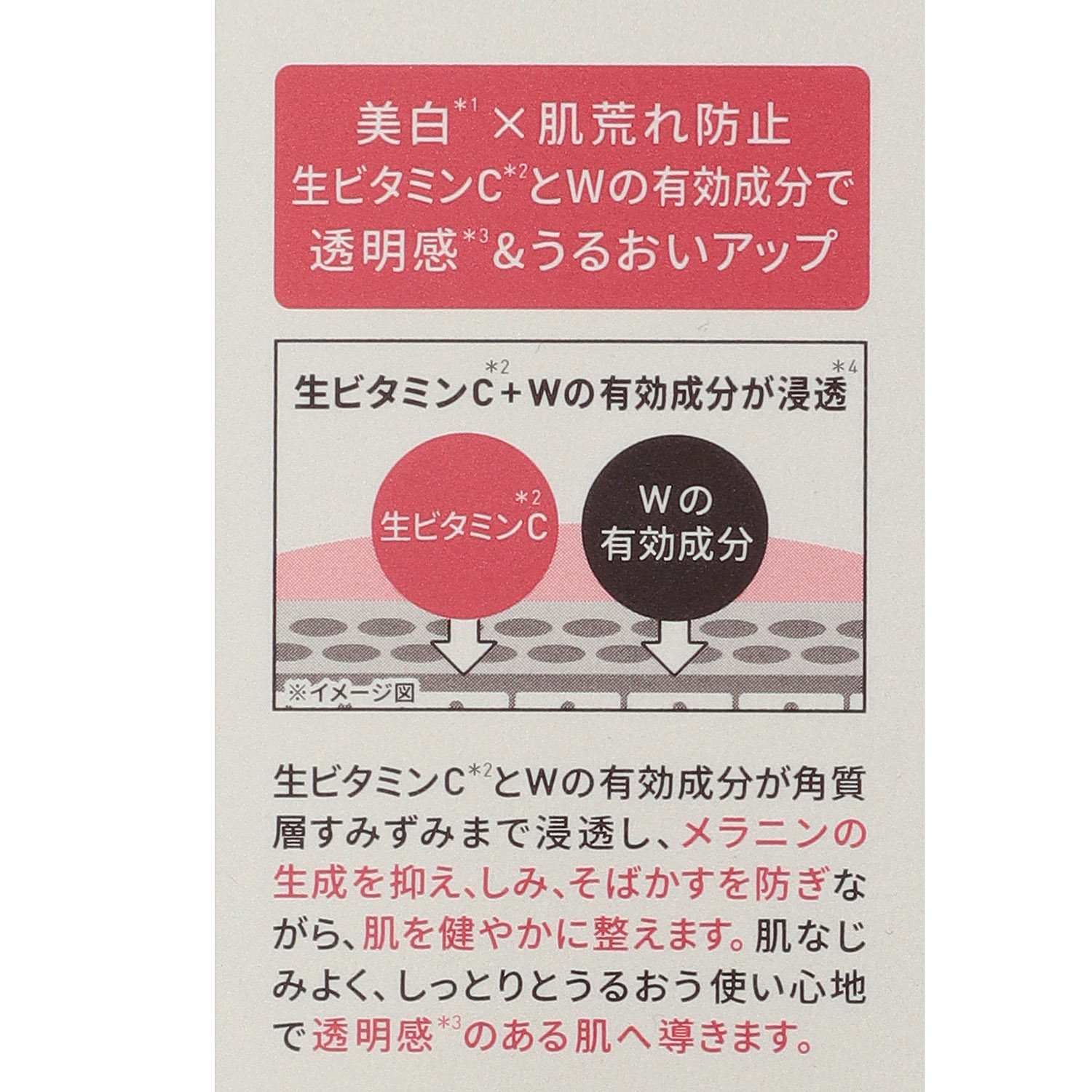 ユンス 生VC美白化粧水120ml - 画像2