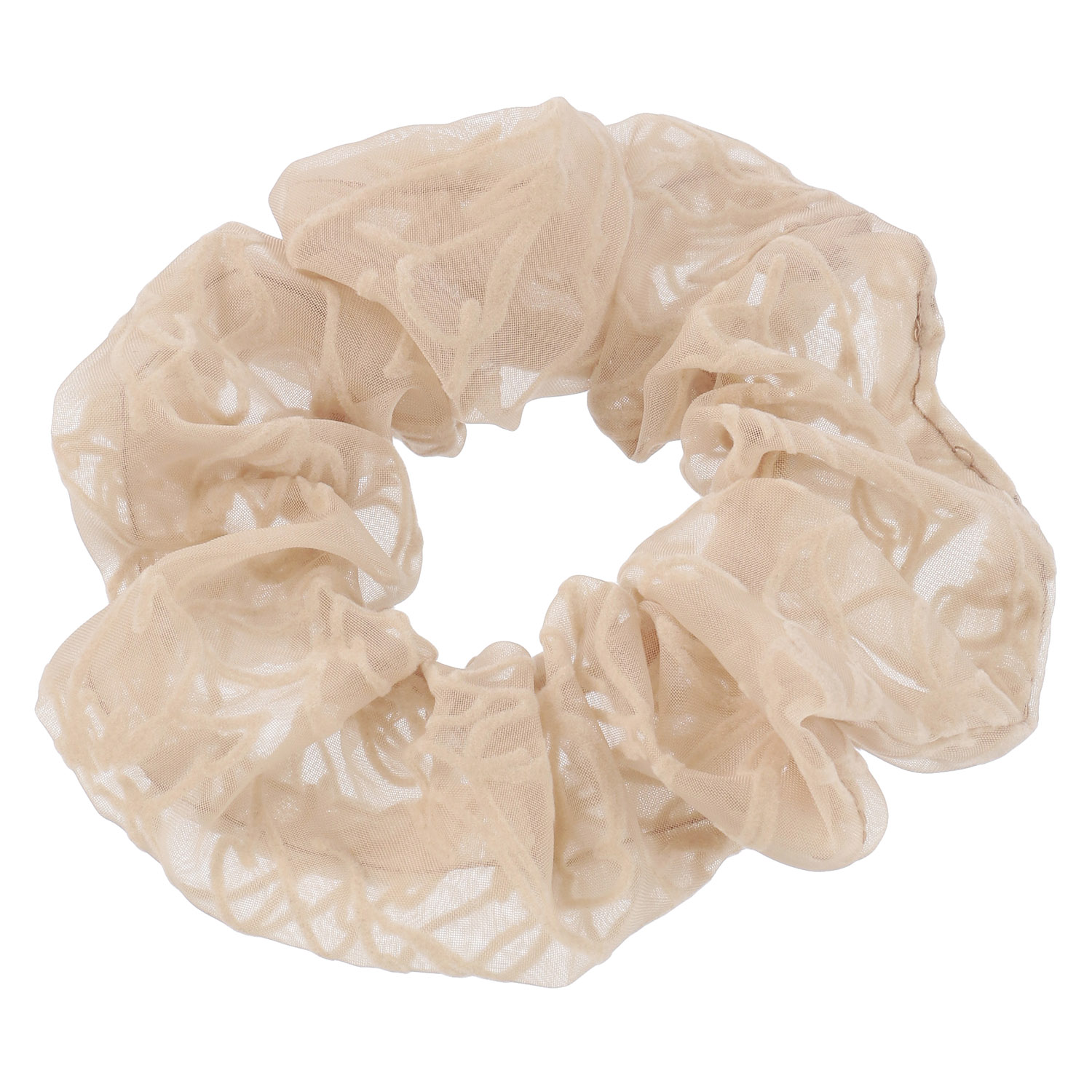 フロシュ25シュシュ - 画像3