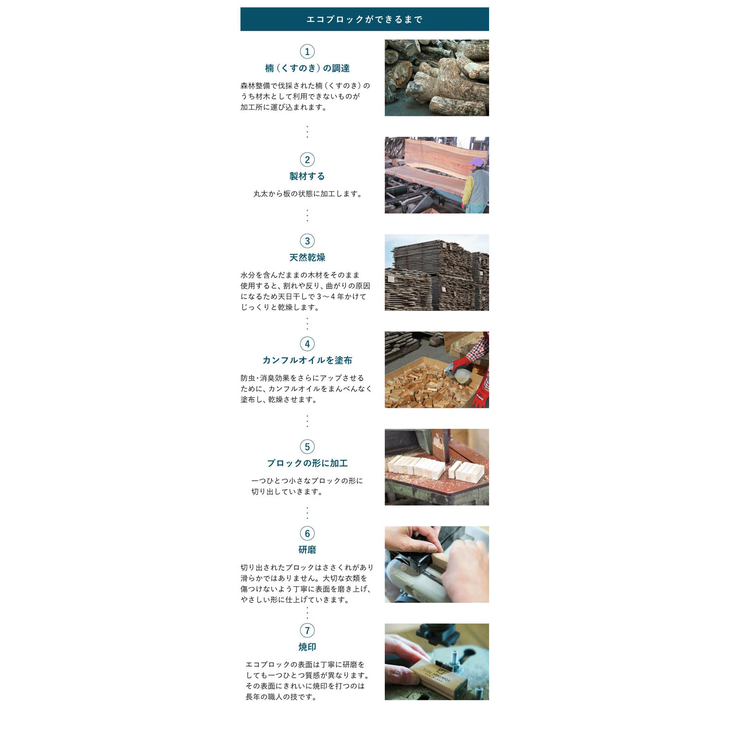 くすのきエコブロック4個入り - 画像3