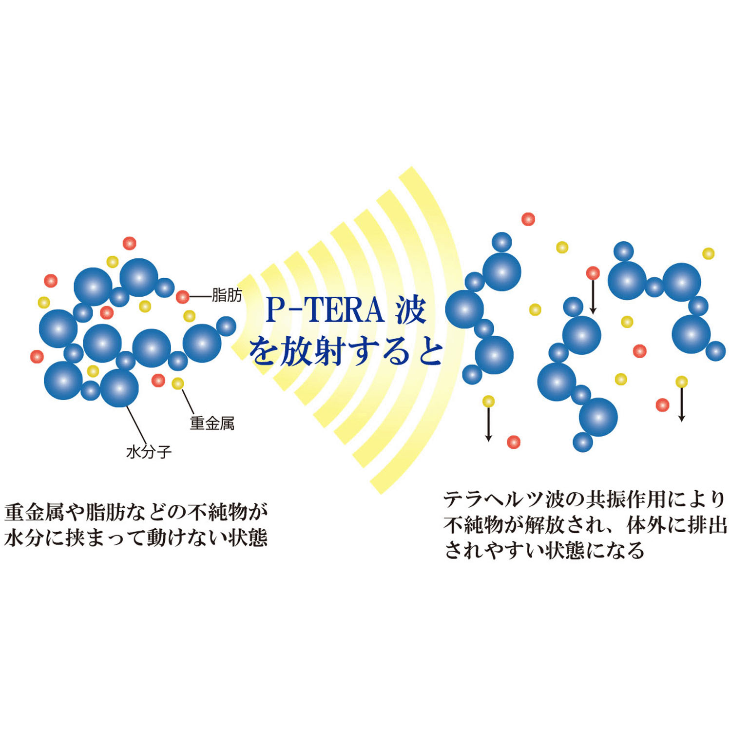 テラヘルツシルキーコーム - 画像8