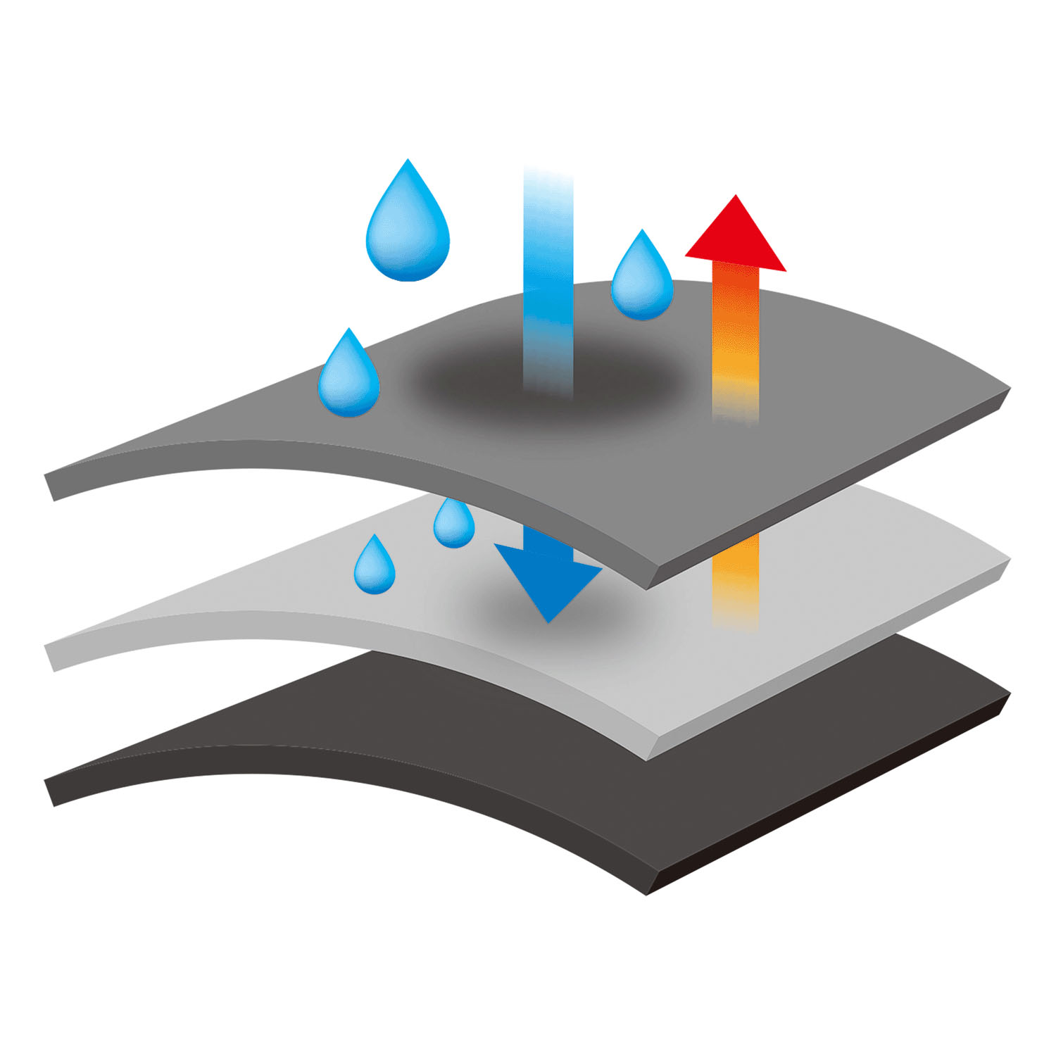 【予約可能品】クイックドライヘアブラシ - 画像8