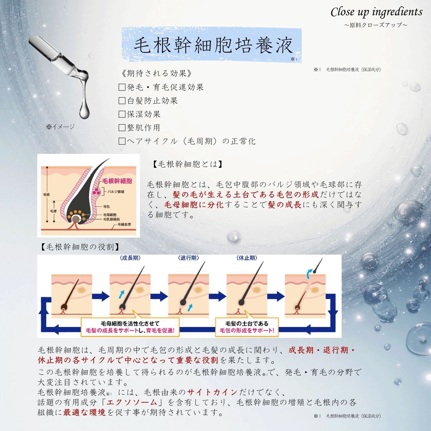 オアシス ステムリッチ シャンプー - 画像5