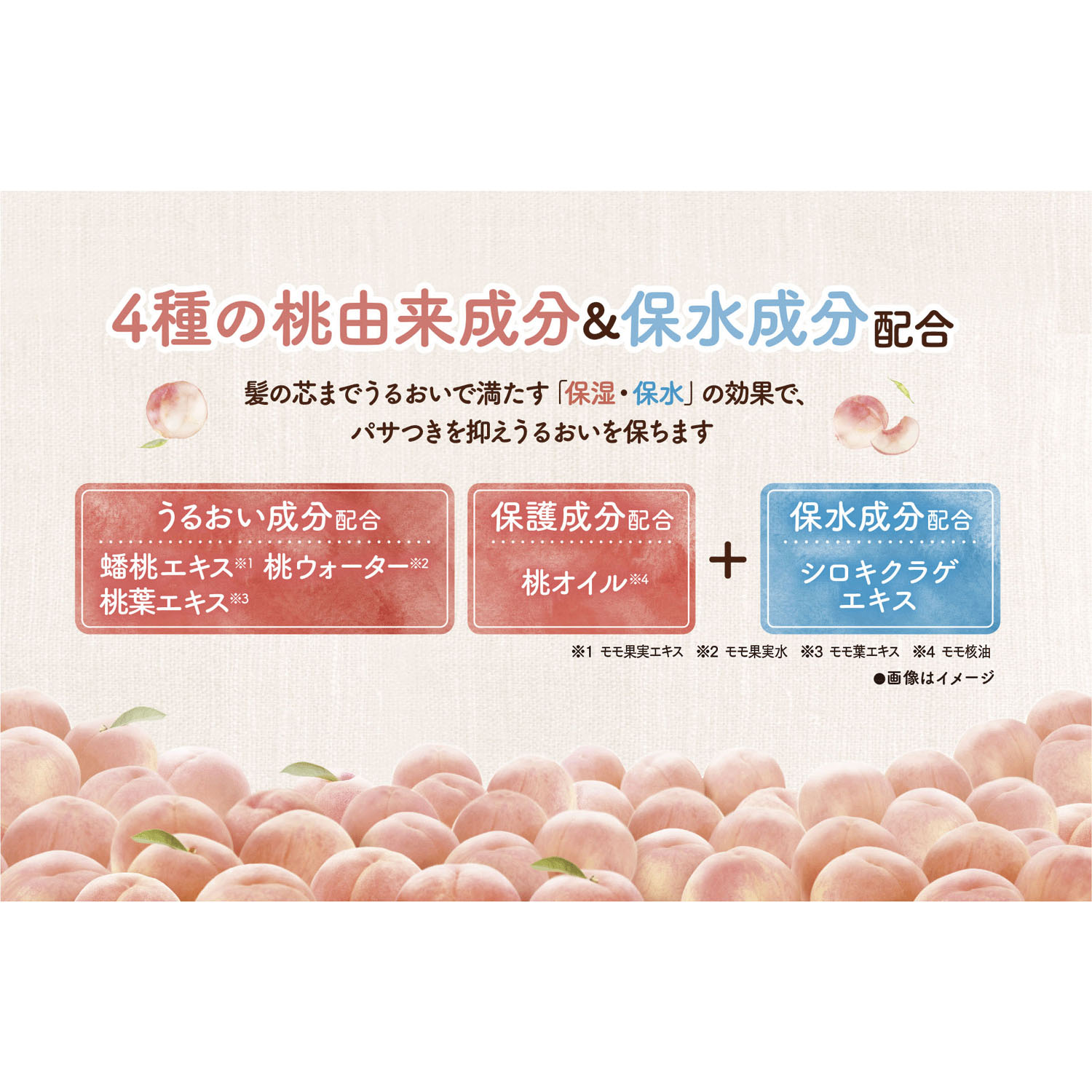 モモリ濃厚しっとりヘアクリーム - 画像2