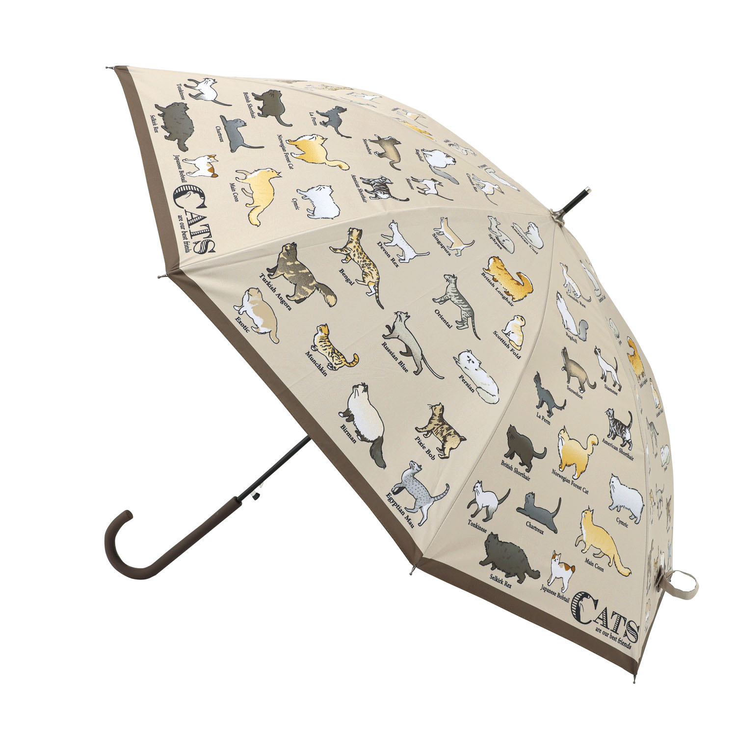 傘 猫図鑑 - 画像1