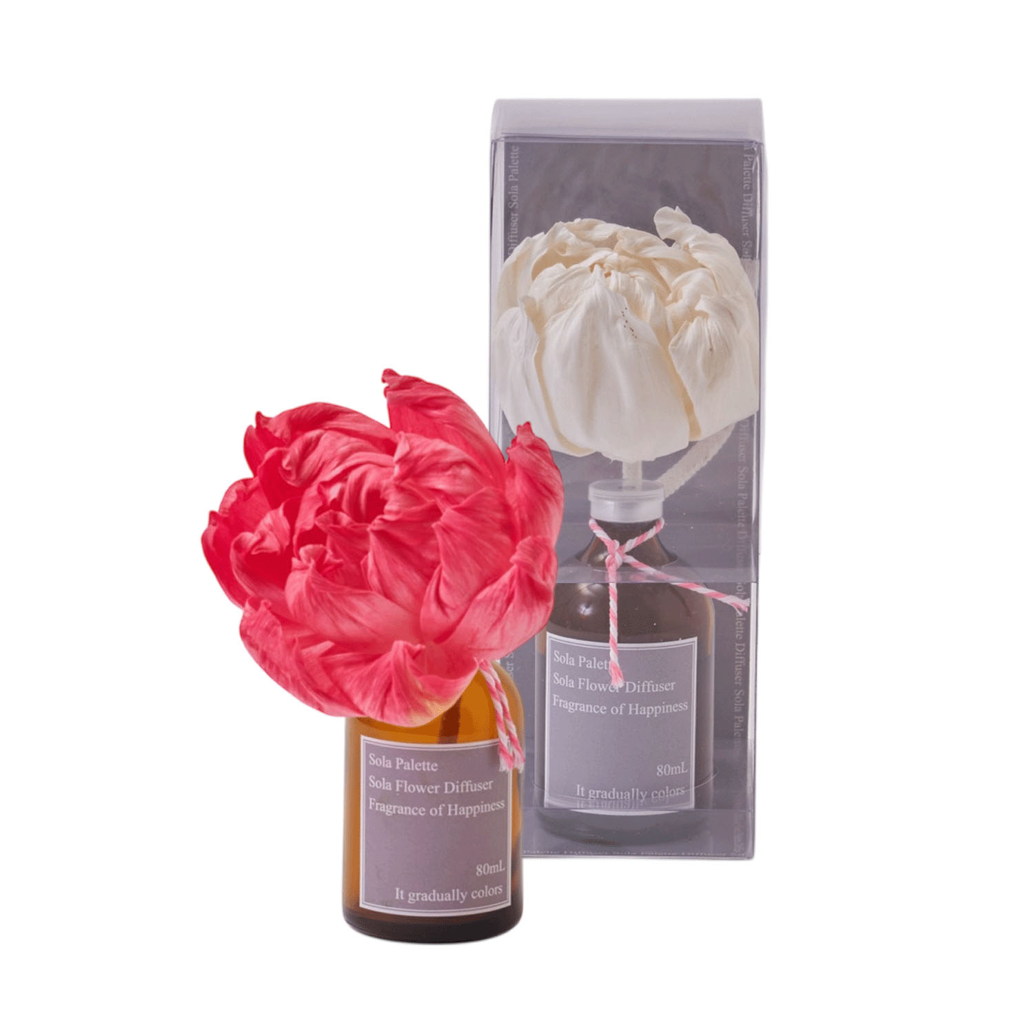 Sola Palette  ソラフラワーディフューザー - 画像3