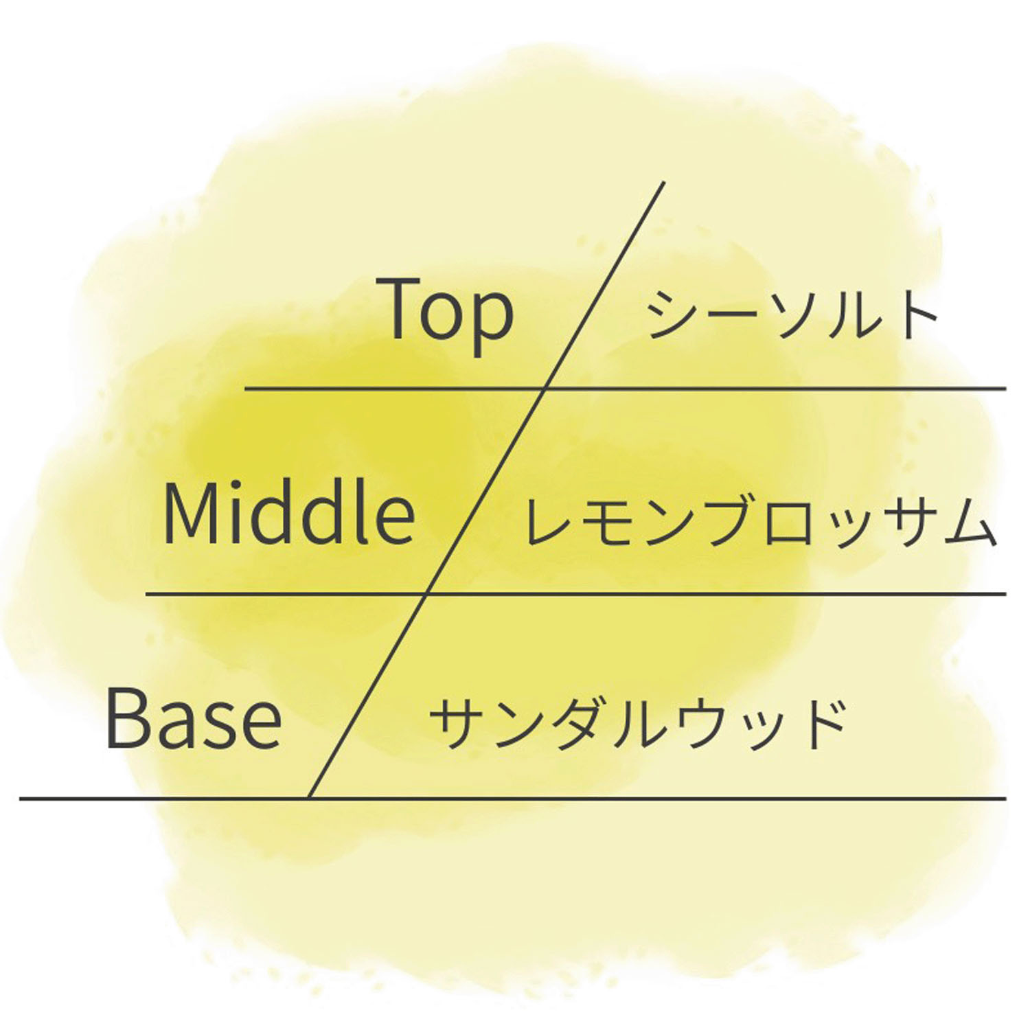 【44－00：店頭終了予定】ASHLEIGH＆BURWOOD ディフューザー 150ml - 画像16