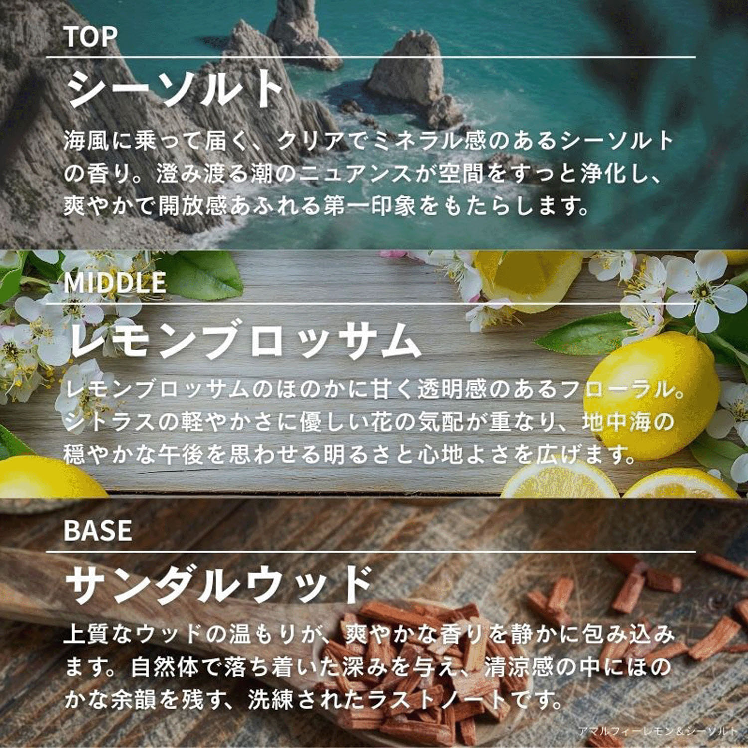 【44－00：店頭終了予定】ASHLEIGH＆BURWOOD ディフューザー 150ml - 画像17