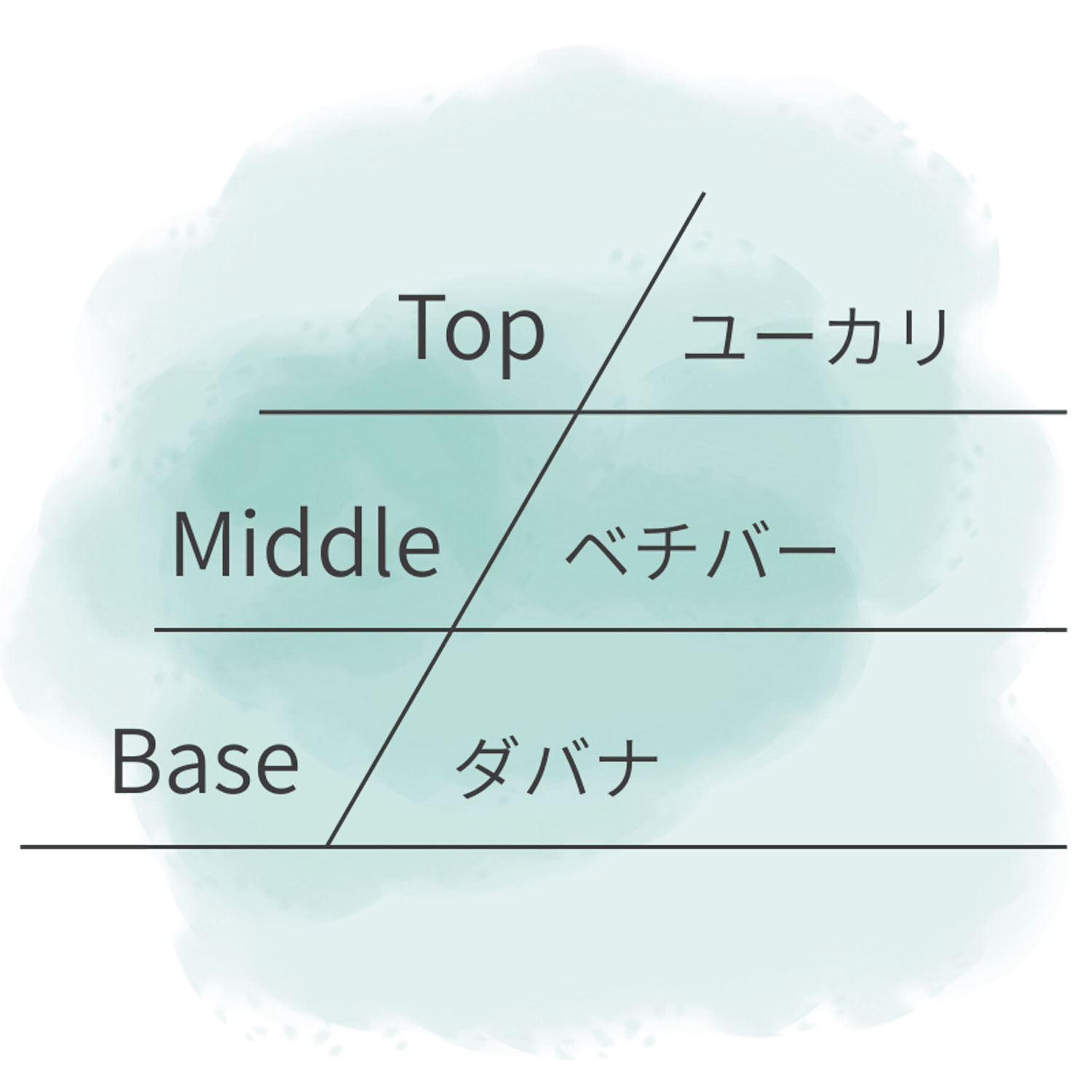 【44－00：店頭終了予定】ASHLEIGH＆BURWOOD ディフューザー 150ml - 画像20