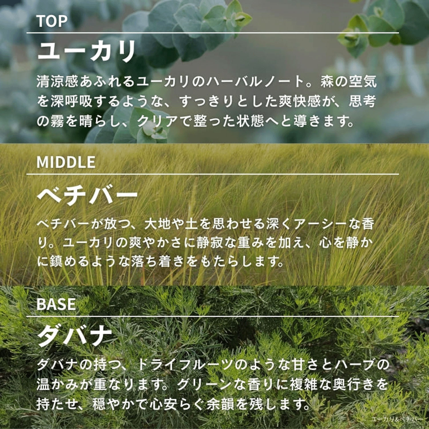 ASHLEIGH＆BURWOOD ディフューザー 150ml - 画像21