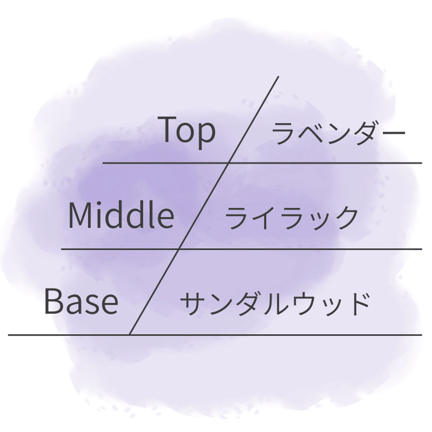 ASHLEIGH＆BURWOOD ディフューザー 150ml - 画像24