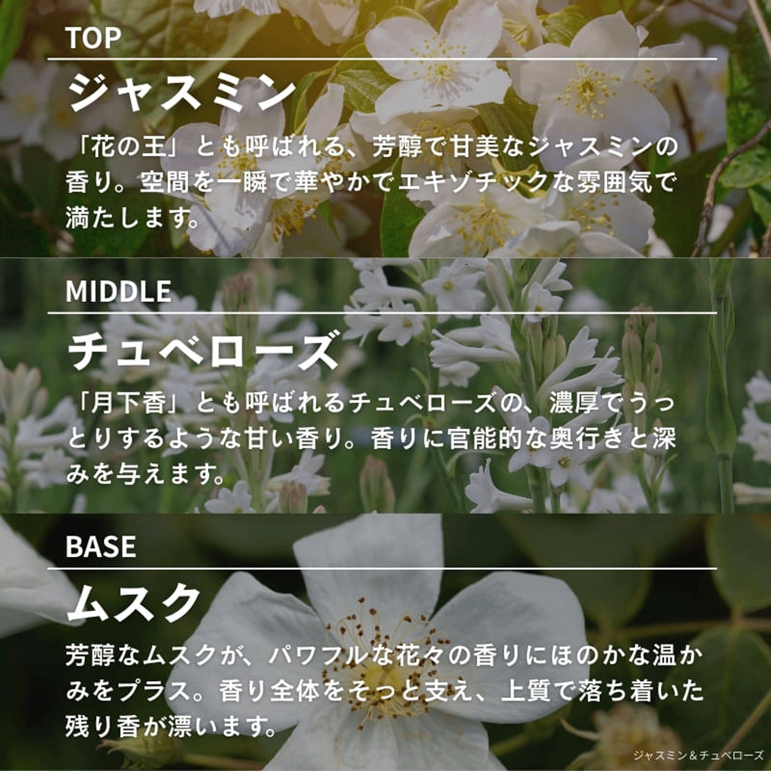 ASHLEIGH＆BURWOOD ディフューザー 150ml - 画像5