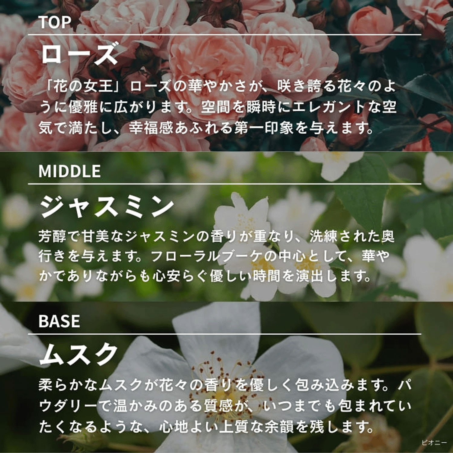 ASHLEIGH＆BURWOOD サシェ - 画像26