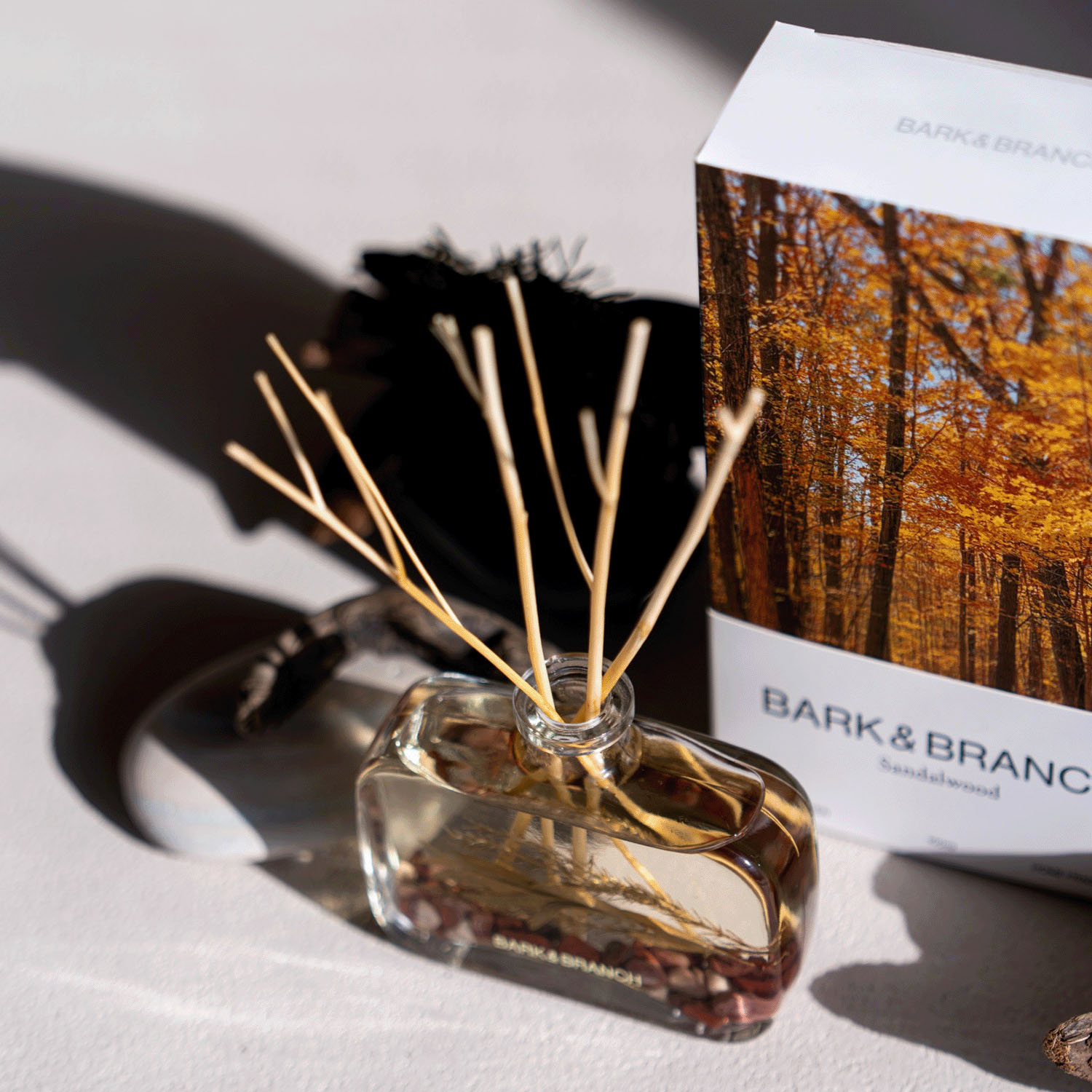 Bark＆Branchディフューザー100ml - 画像2