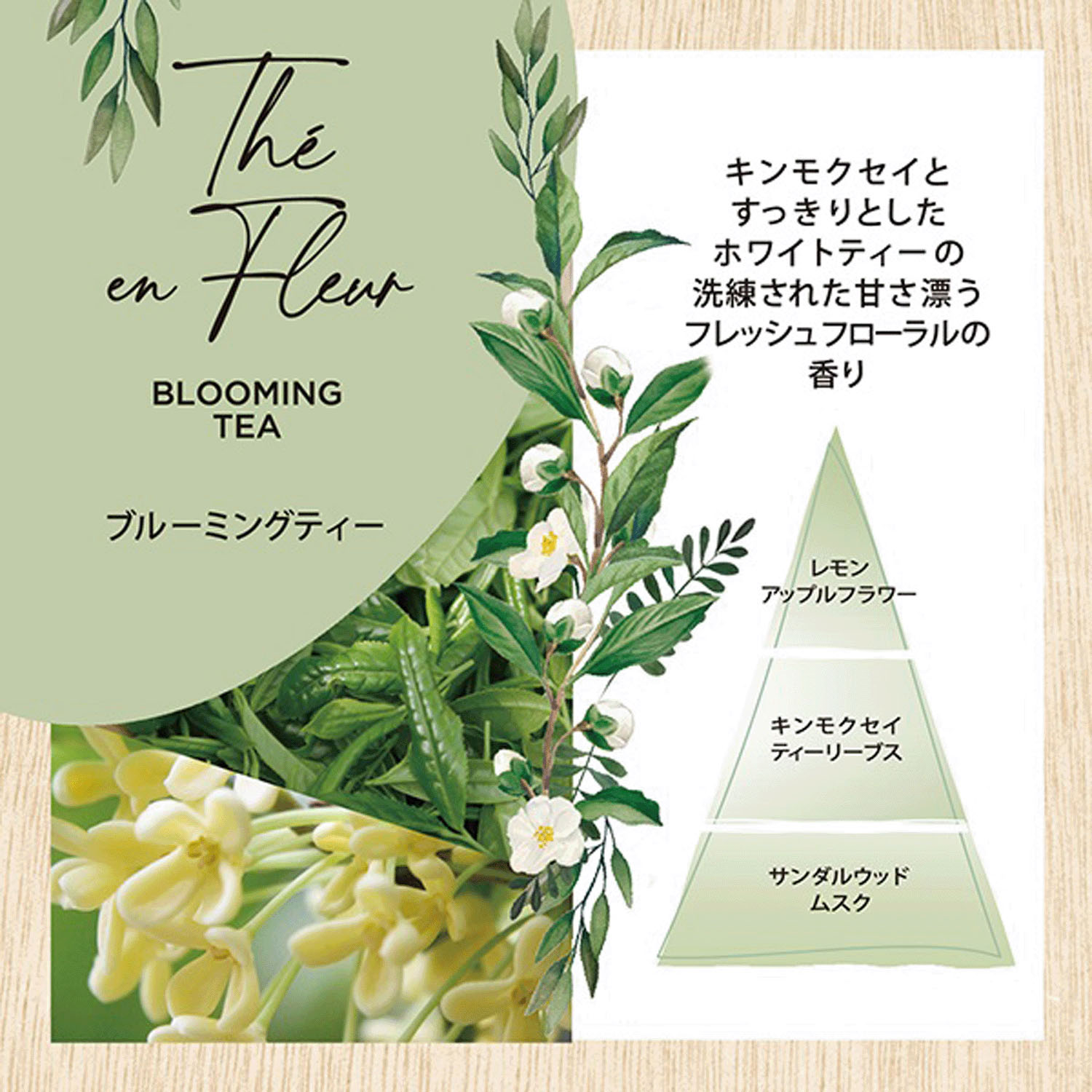 【00－53：廃番】インテリアガーデン ナチュール ルームスプレー100ml - 画像3