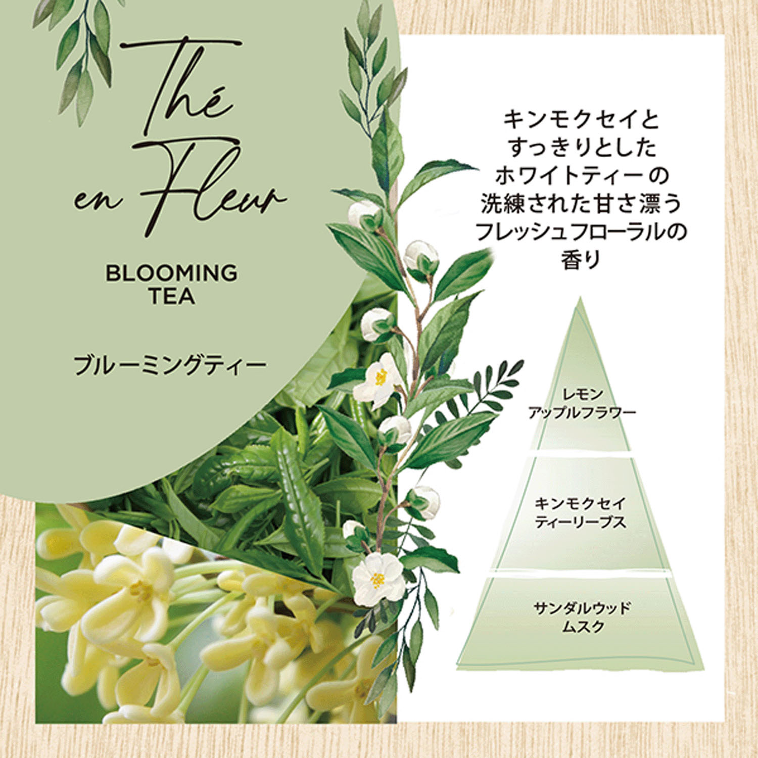 【価格変更】インテリアガーデンナチュール スティック40本入（お香） - 画像3