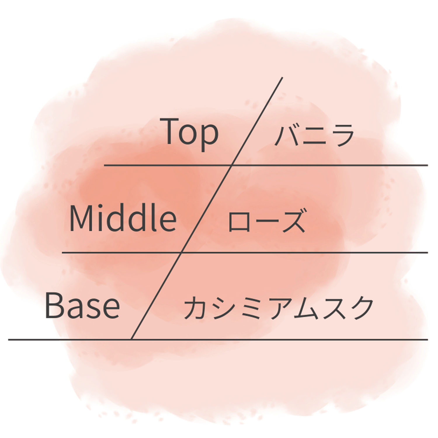 【テスター付】ASHLEIGH＆BURWOODリードディフューザー150ml - 画像12