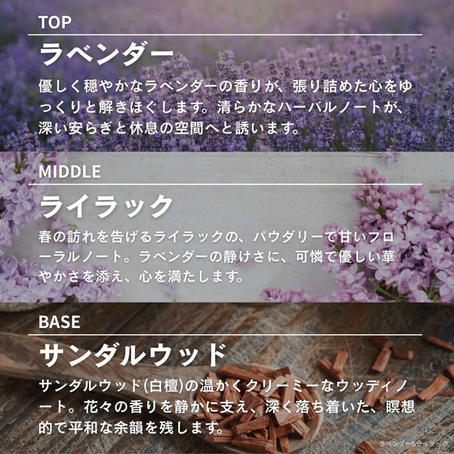 【テスター付】ASHLEIGH＆BURWOODリードディフューザー150ml - 画像25