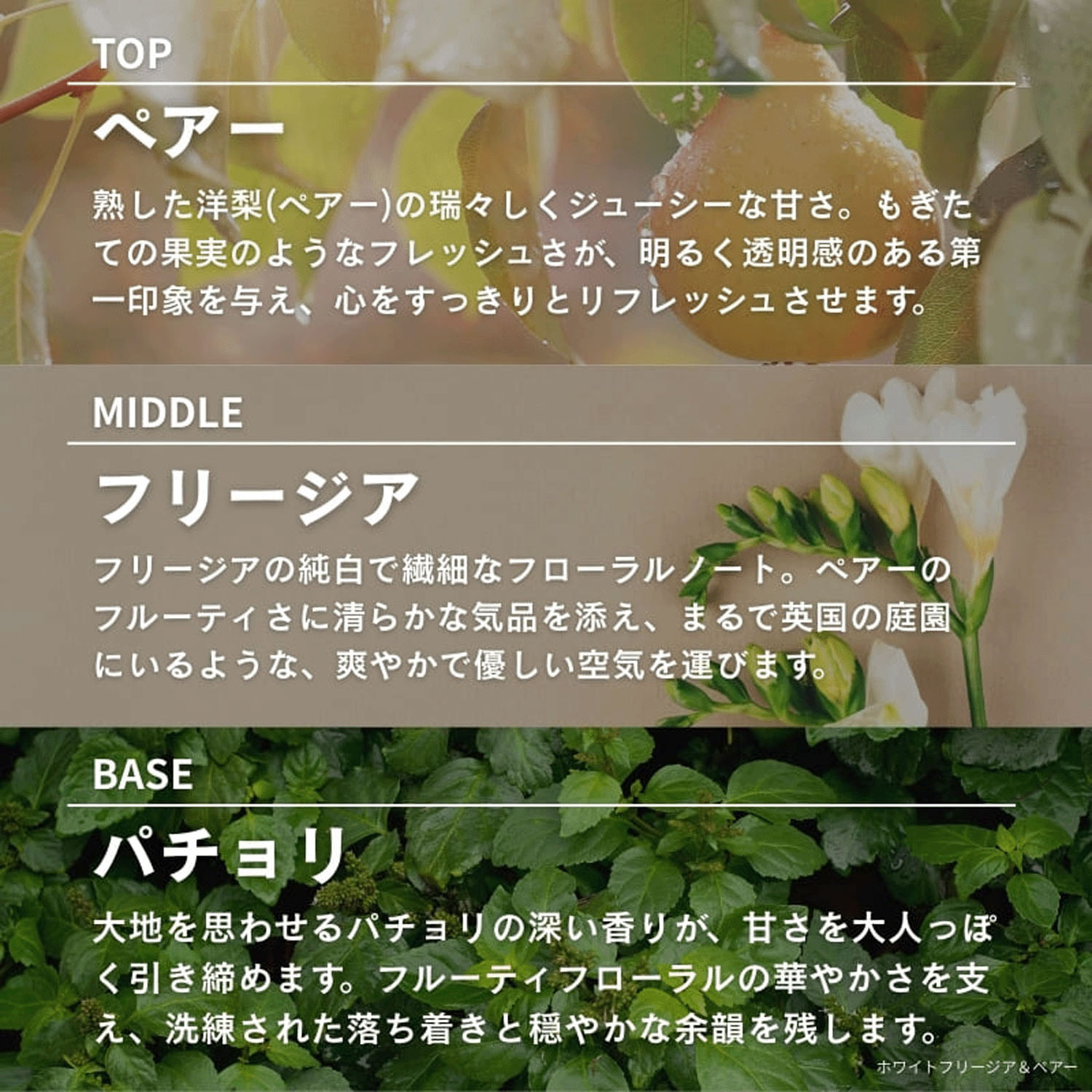 【テスター付】ASHLEIGH＆BURWOODリードディフューザー150ml - 画像9