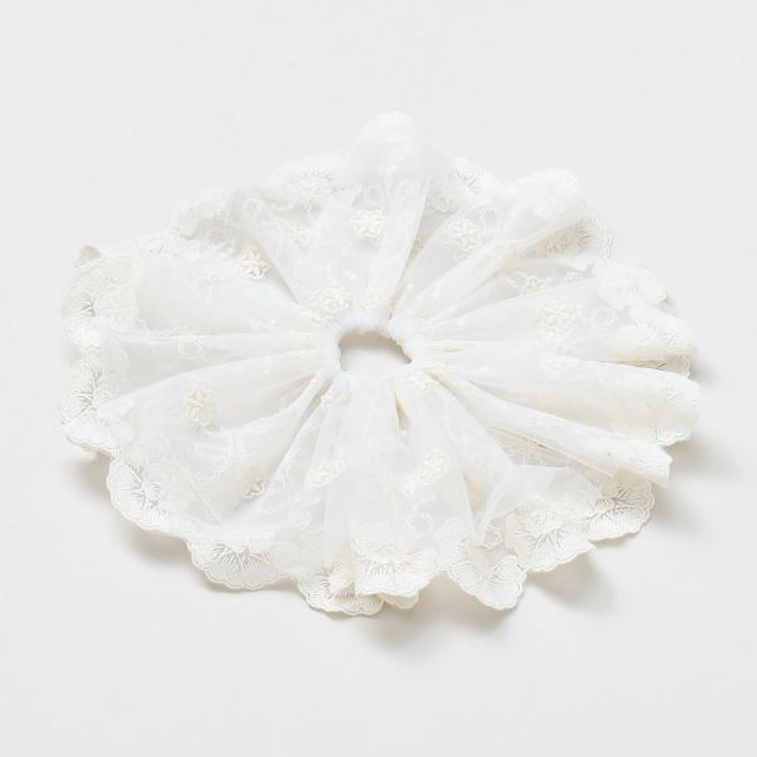 レースシュシュ - 画像16