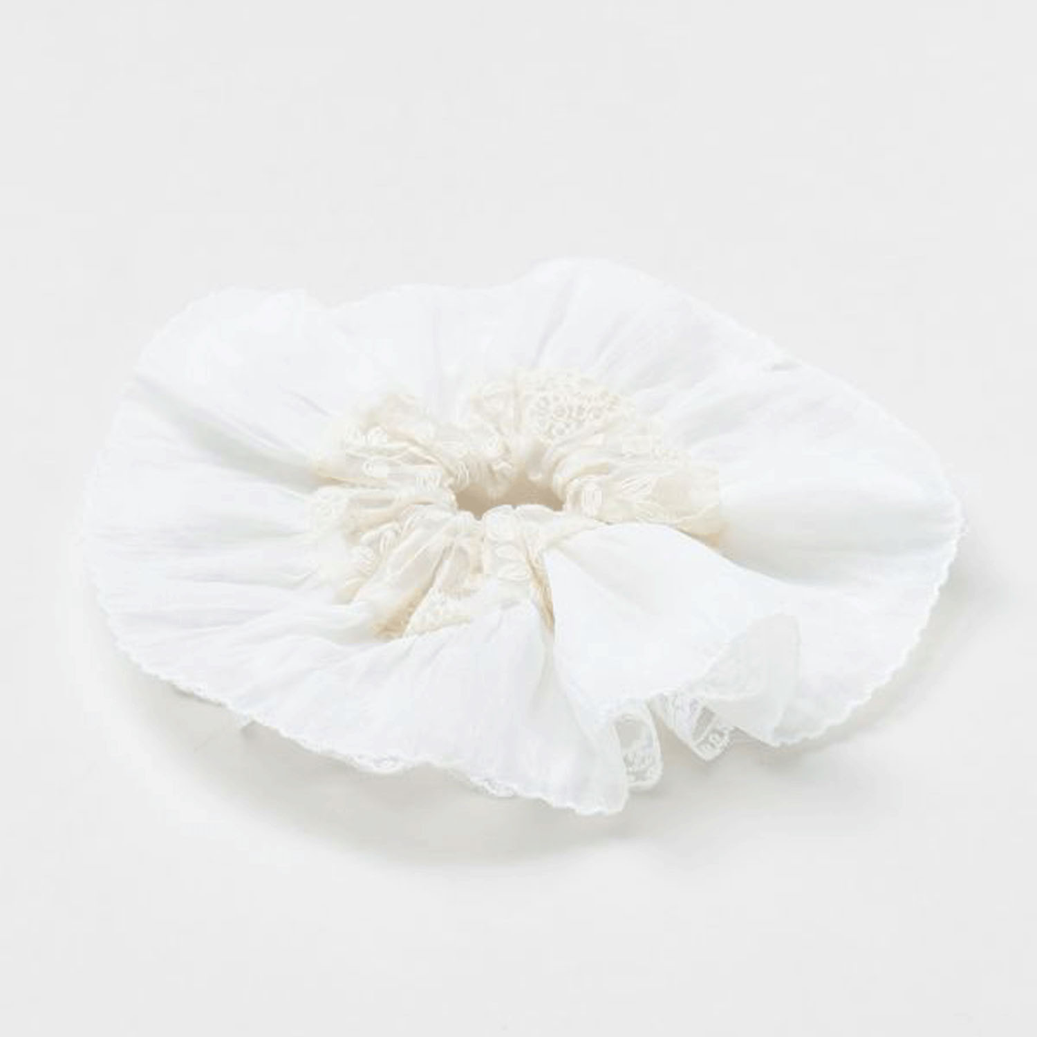 レースシュシュ - 画像21