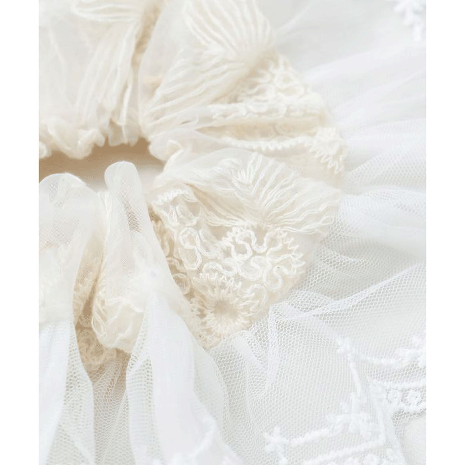 レースシュシュ - 画像22