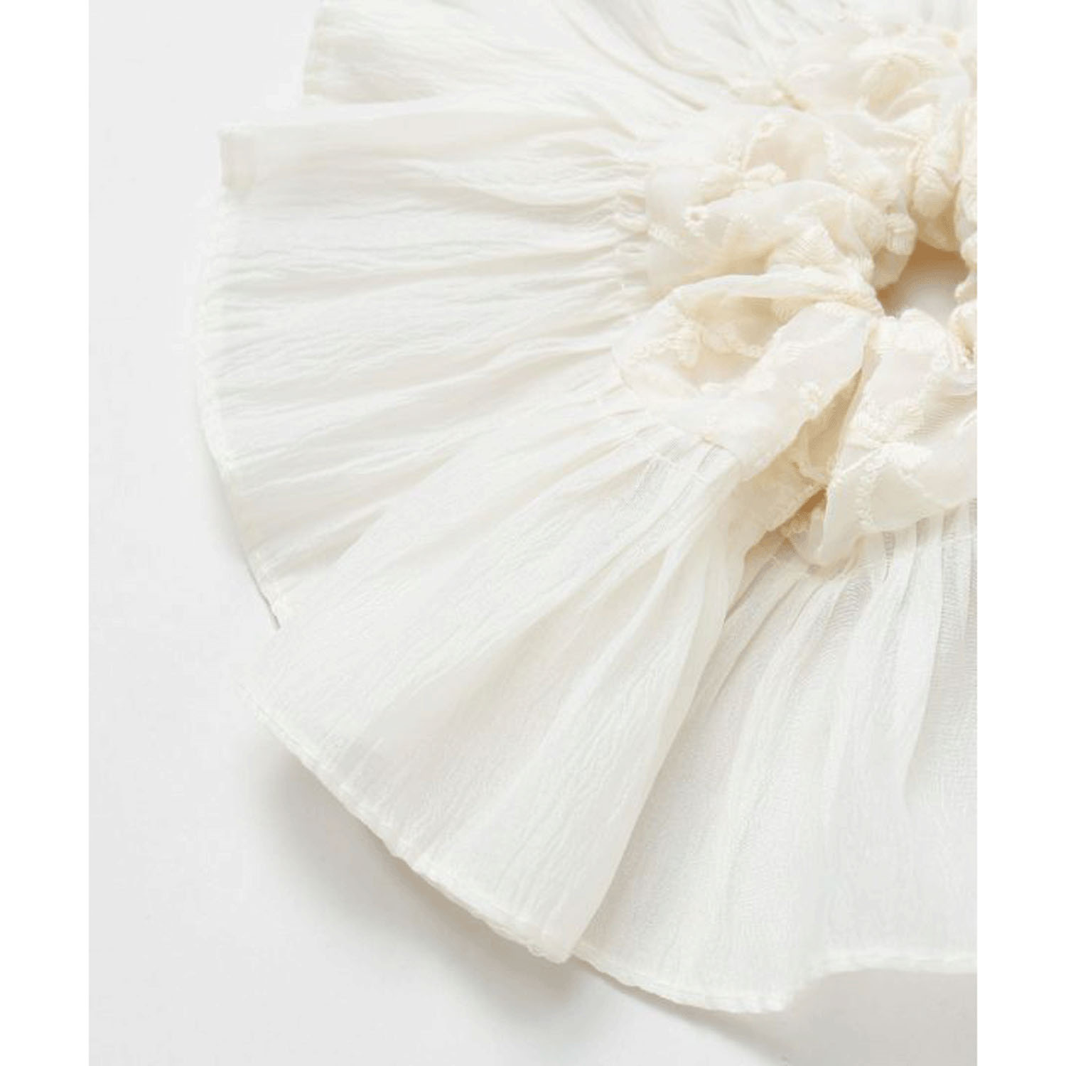 レースシュシュ - 画像5