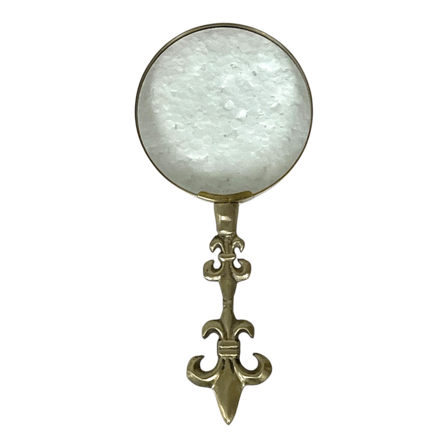 虫メガネ - 画像3