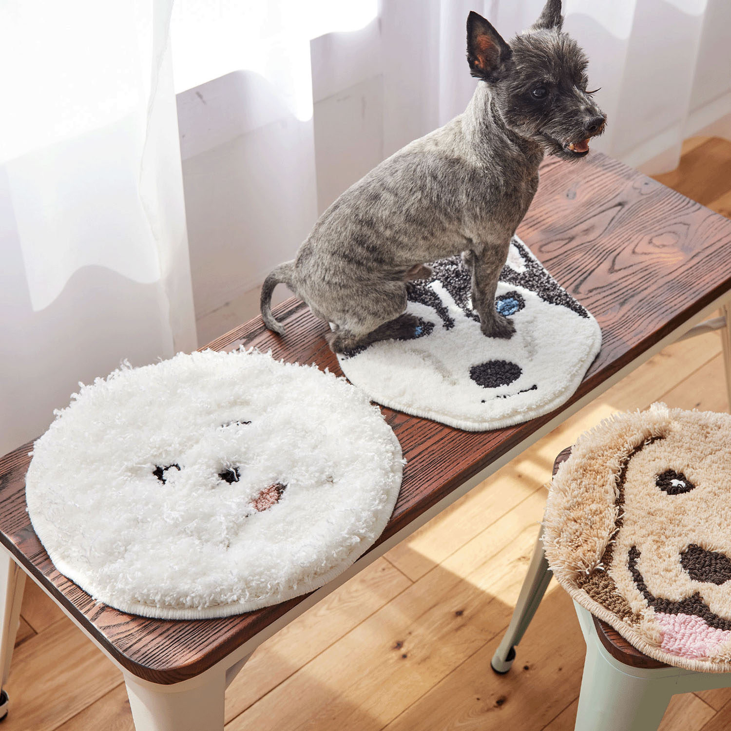 ビション：イヌカオマット - 画像3