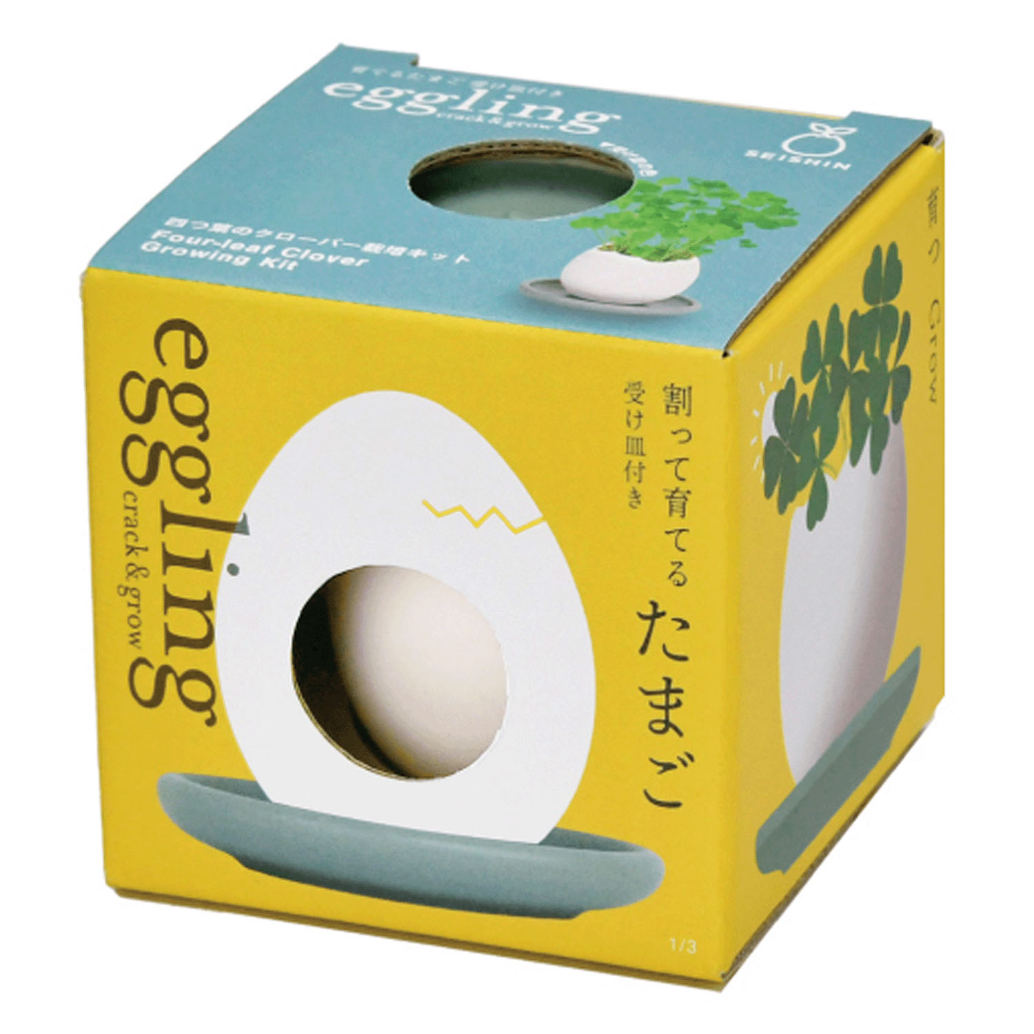 栽培 エッグリング＆ソーサー - 画像14