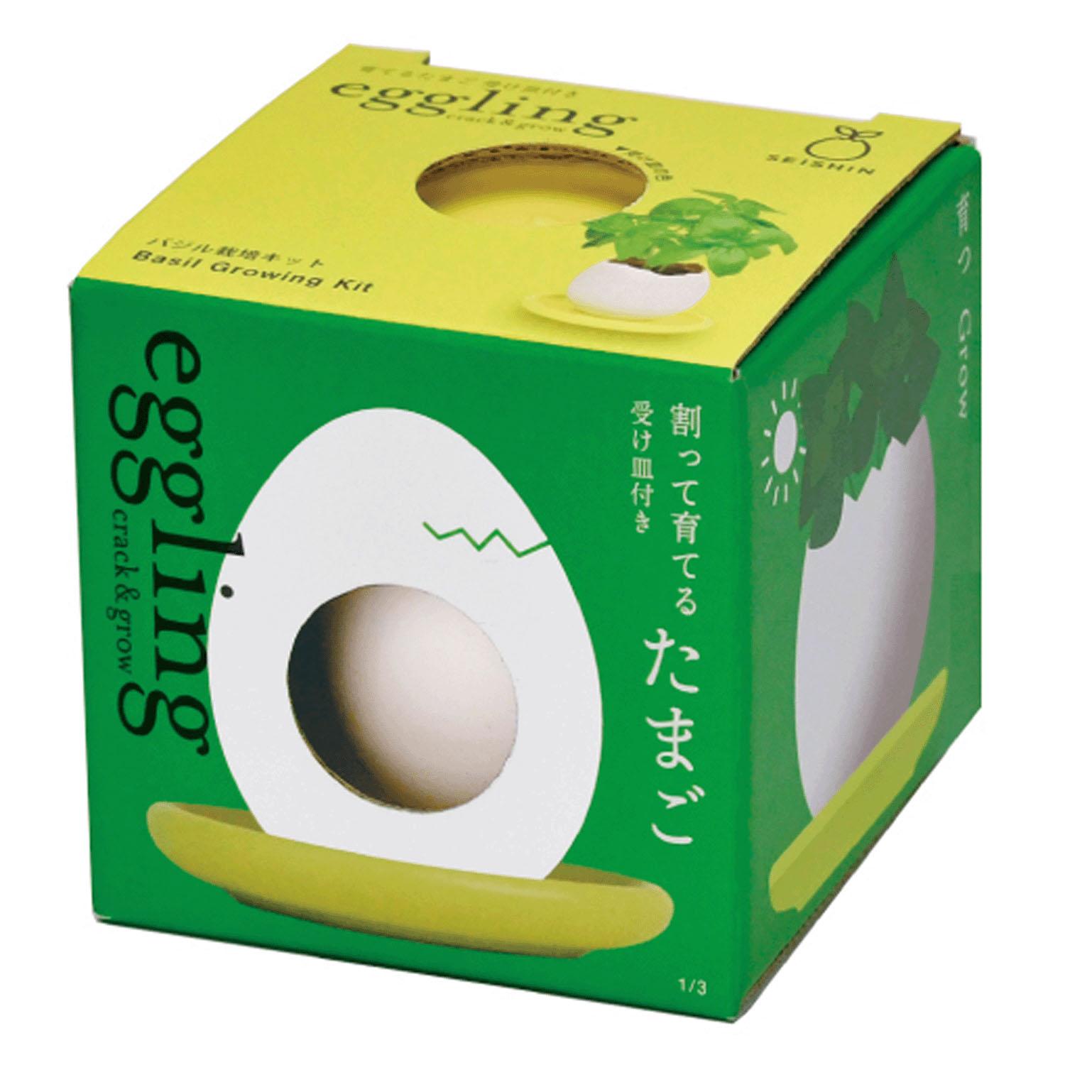 栽培 エッグリング＆ソーサー - 画像8