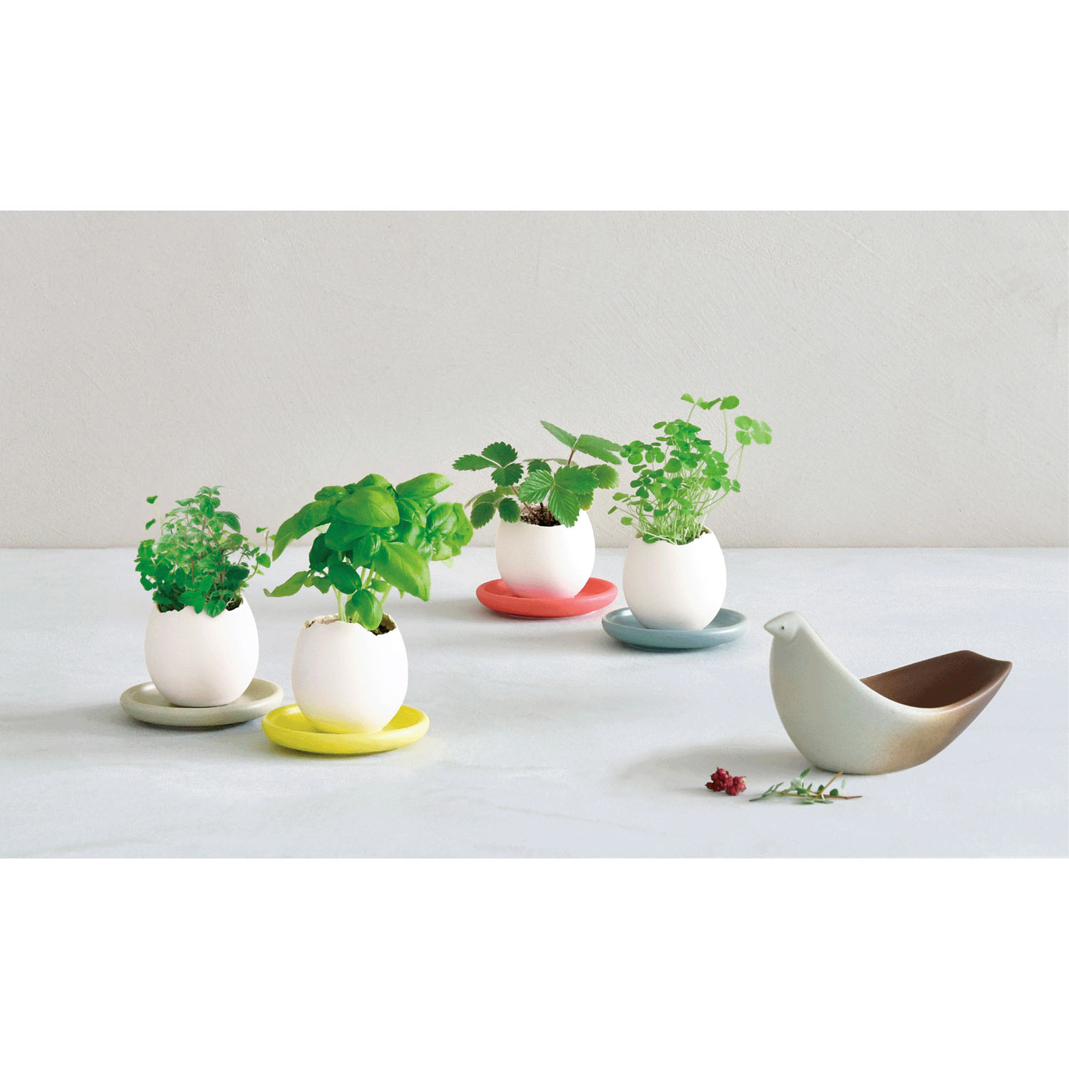 栽培 エッグリング＆ソーサー - 画像1