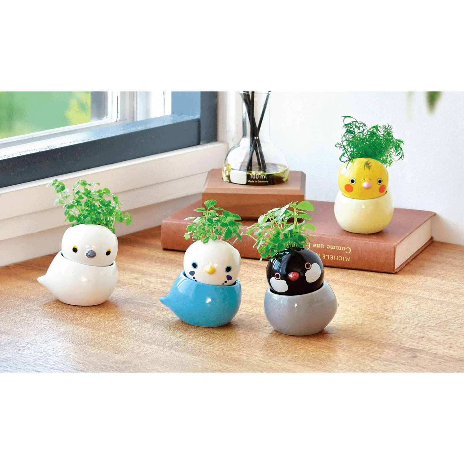 栽培セット コロコロバード - 画像1