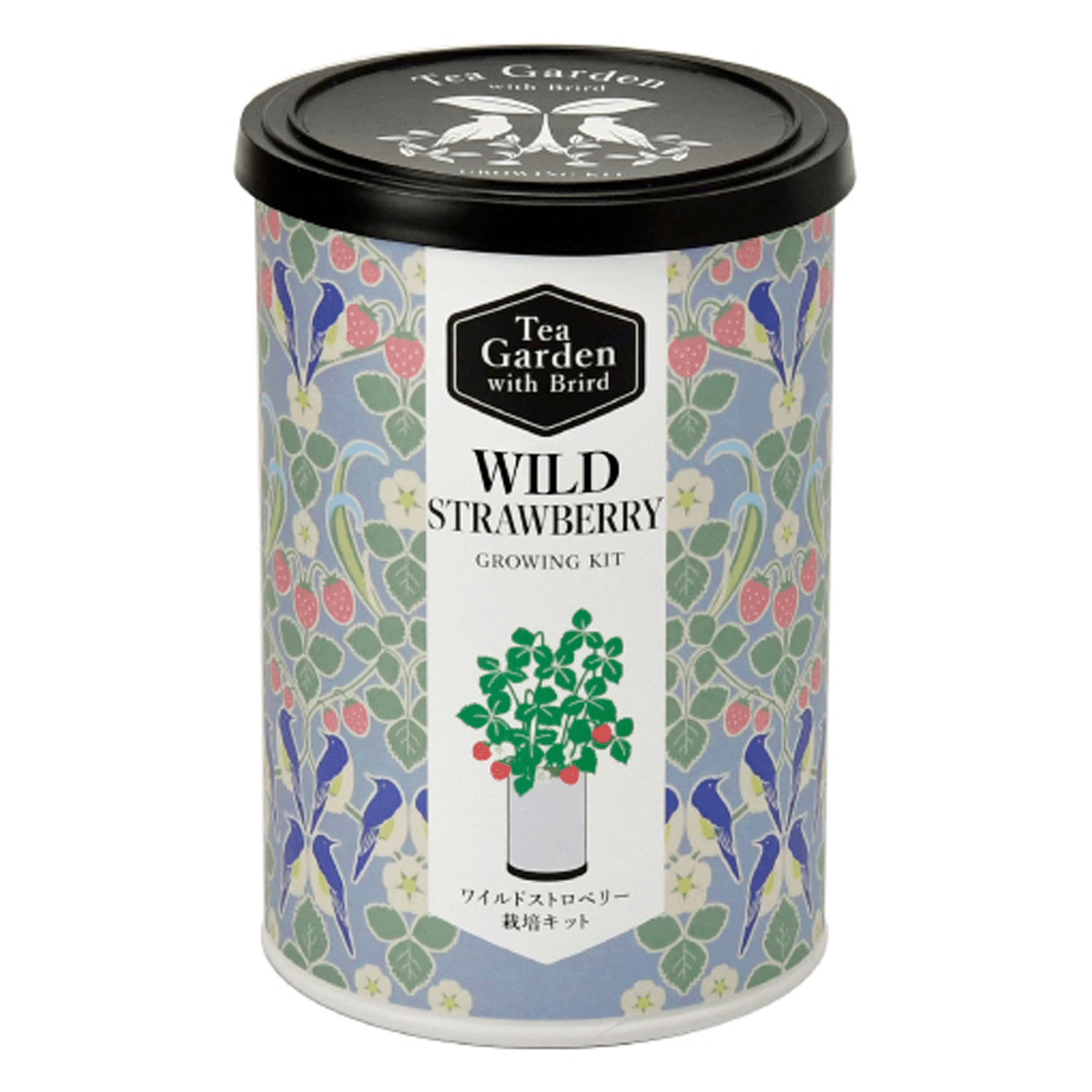 栽培セット ティーガーデン - 画像8