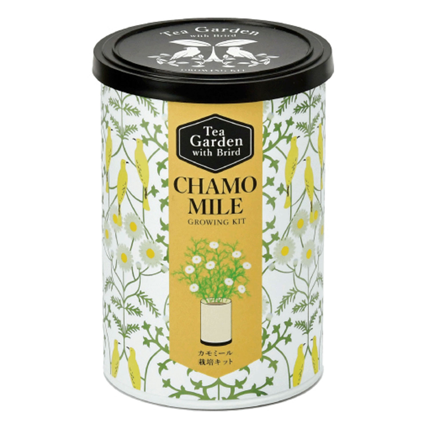 栽培セット ティーガーデン - 画像10