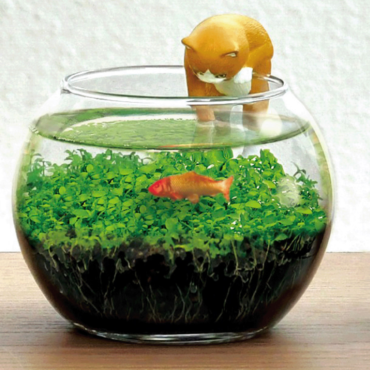 栽培セット じゃれ猫水草鉢 - 画像1