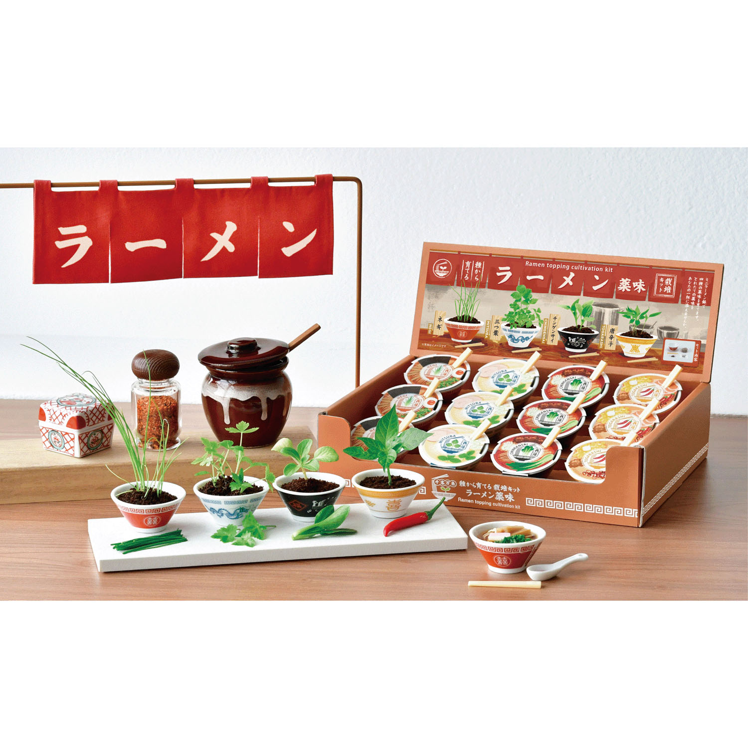 ラーメン薬味栽培キット【次の入荷予定は7月頃】 - 画像1