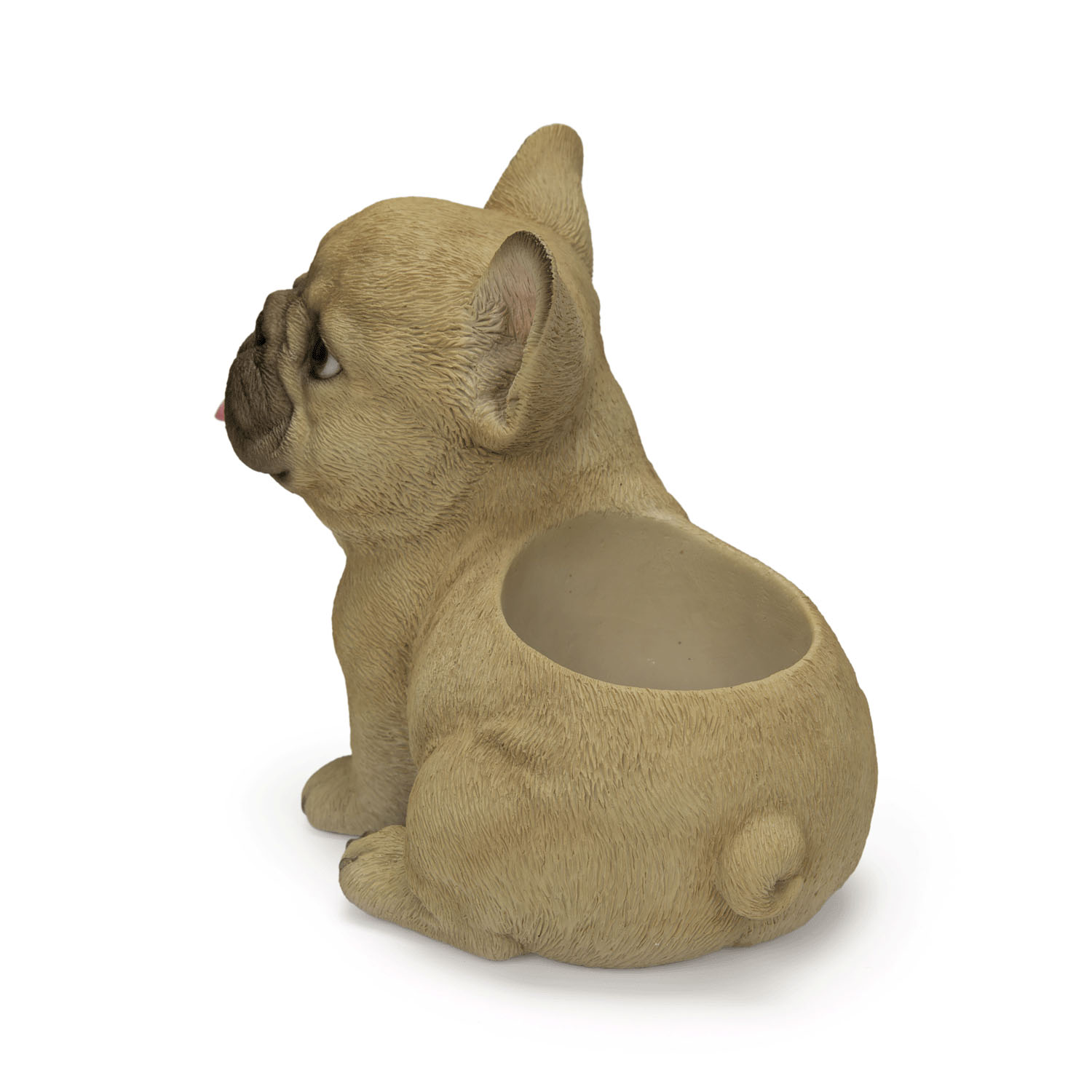 お座りプランターシリーズ  子犬・子猫 - 画像33