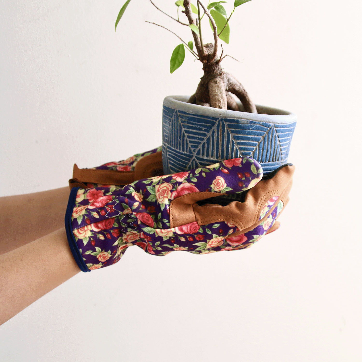 ガーデングローブ ブルーム - 画像17