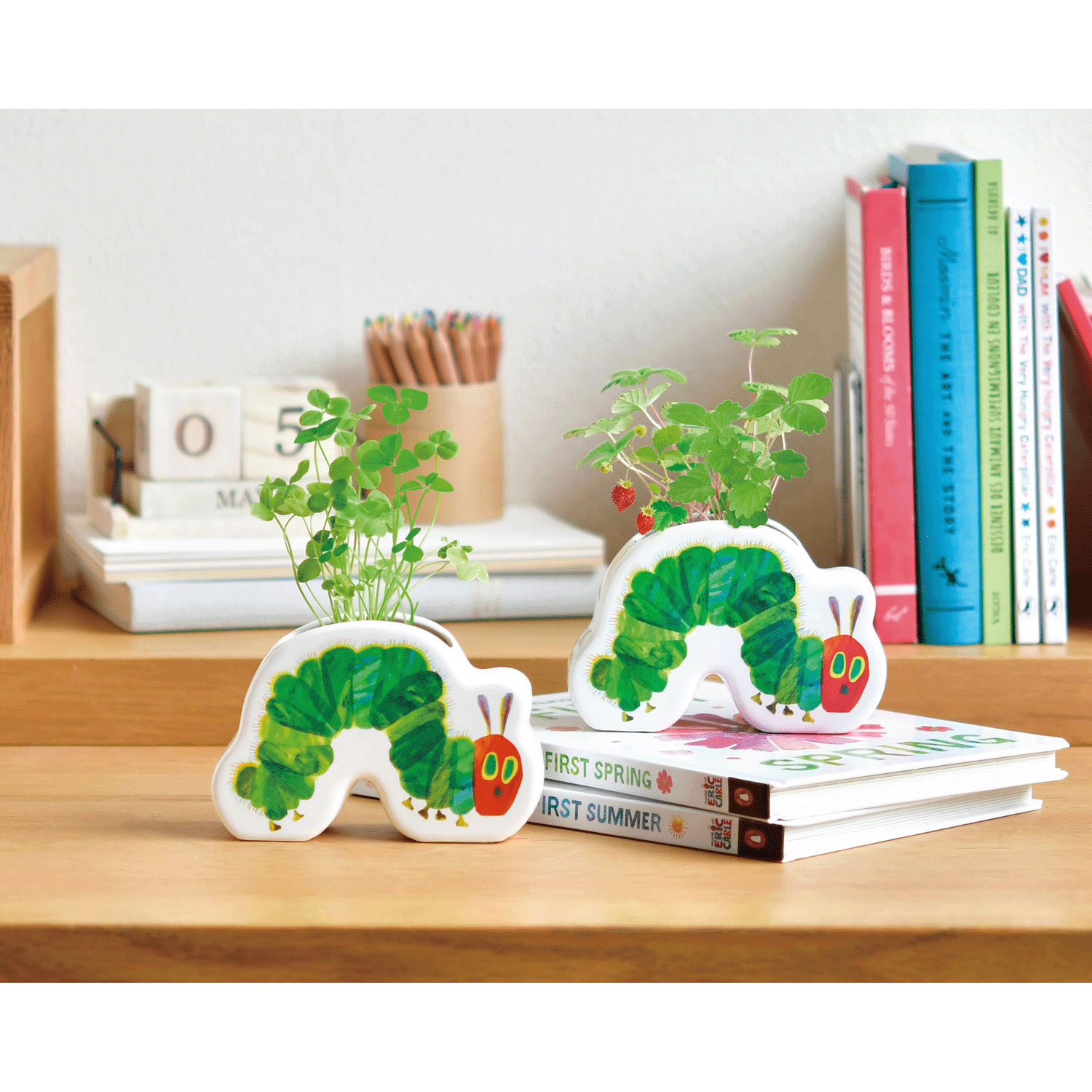 栽培セット はらぺこあおむし わくわく陶器ポットガーデン - 画像1