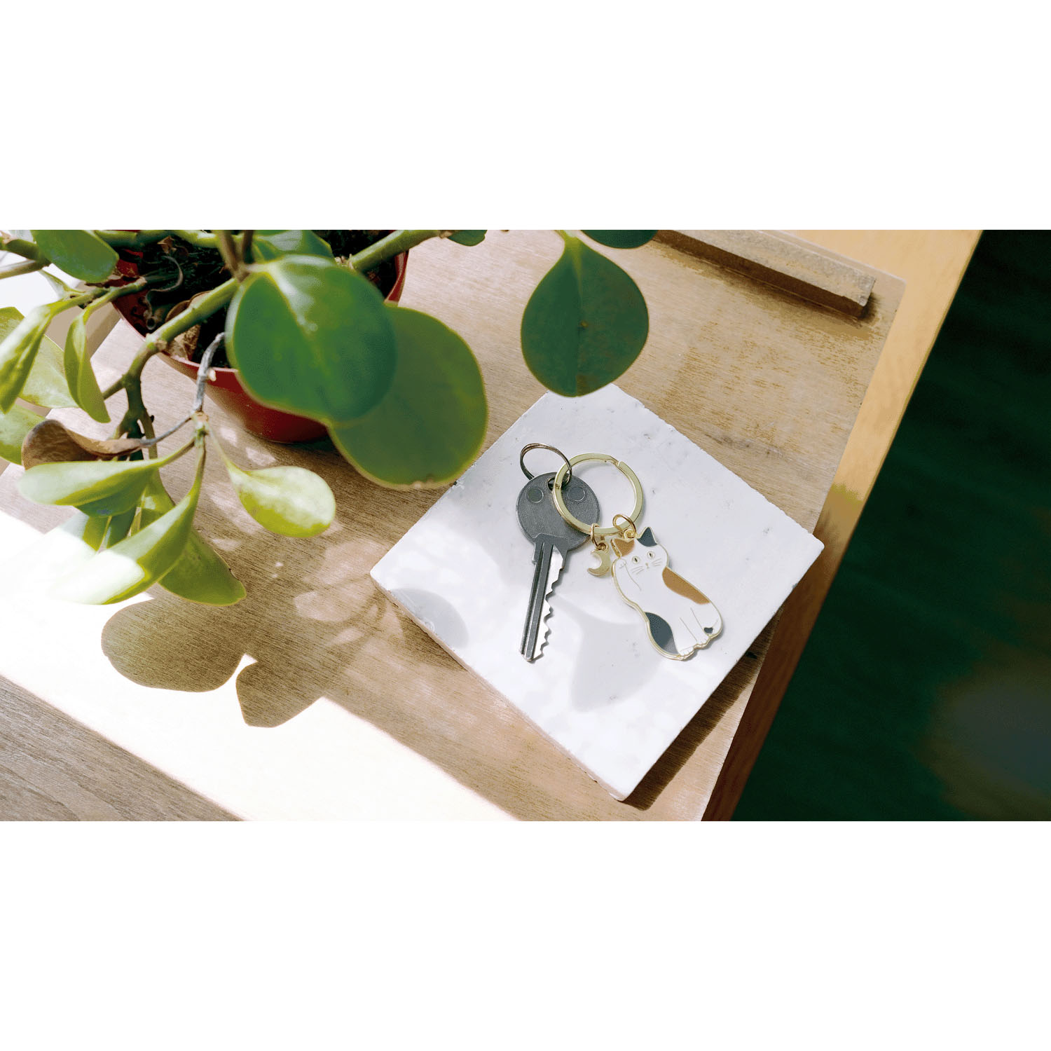 リュッカ キーリング - 画像13