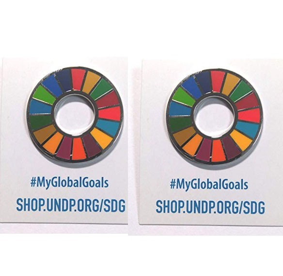 SDGs ピンバッジ 持続可能な開発目標  国連本部限定販売 日本未発売 環境大臣 サステナブル | 2個