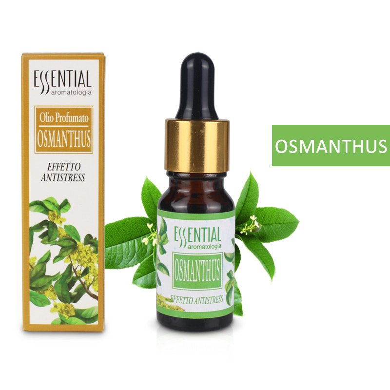 アロマオイル オスマンタス 10ml 高級エッセンシャルオイル 精油 アロマディフューザー空気加湿器アロマ水溶性| オスマンタス