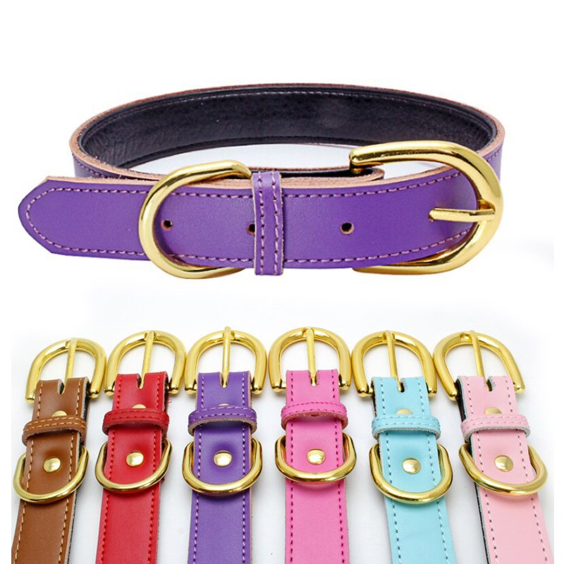 ペット 首輪 犬 猫 イヌ ネコ サイズ調節 ソフトレザー アクセサリー シンプル ペット用品 紫-M